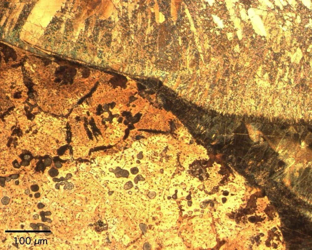 Laser-Company_Bild (54)